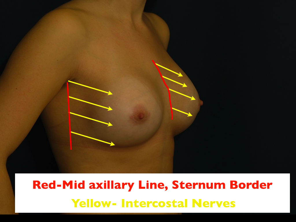 nerves002