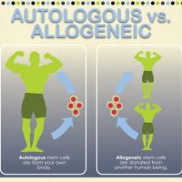 stem cell donor types