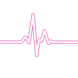 ekg heart rate