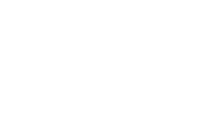 american board of plastic surgery logo