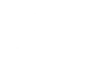 american board of plastic surgery logo