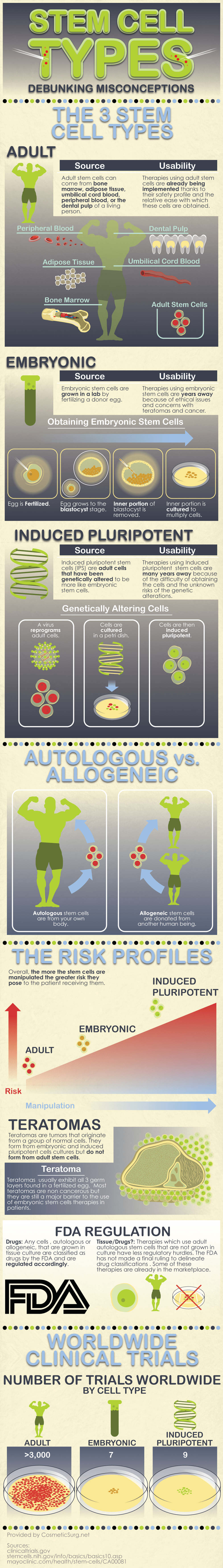 A chart with stem cell types: adult, embryonic, and induced pluripotent.